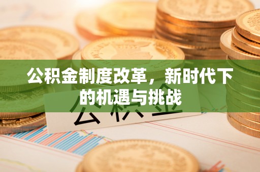 尼木公积金制度改革，新时代下的机遇与挑战