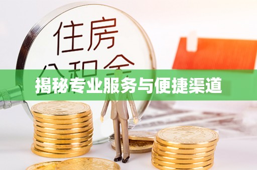 尼木揭秘专业服务与便捷渠道