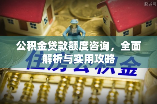 尼木公积金贷款额度咨询，全面解析与实用攻略