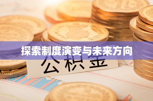 尼木探索制度演变与未来方向