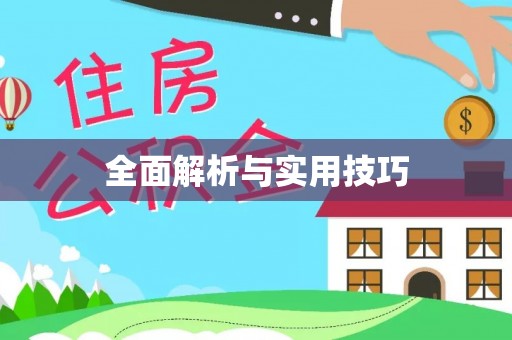 尼木全面解析与实用技巧