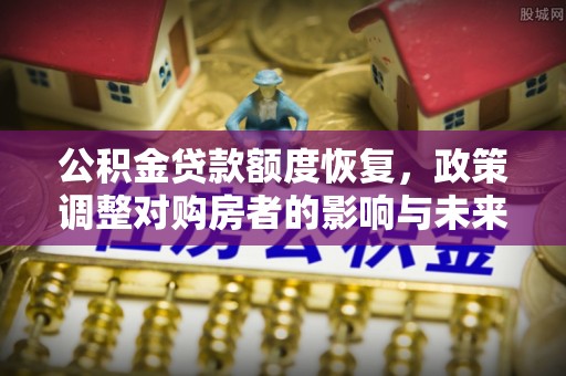 尼木公积金贷款额度恢复，政策调整对购房者的影响与未来展望