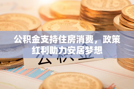 尼木公积金支持住房消费，政策红利助力安居梦想
