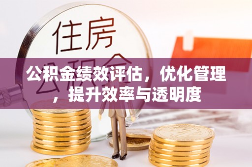 尼木公积金绩效评估，优化管理，提升效率与透明度