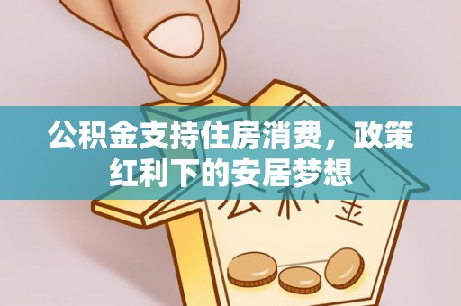 尼木公积金支持住房消费，政策红利下的安居梦想