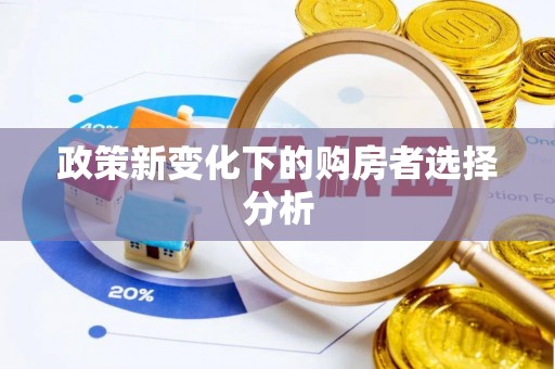 尼木政策新变化下的购房者选择分析