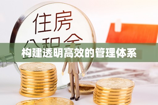 尼木构建透明高效的管理体系