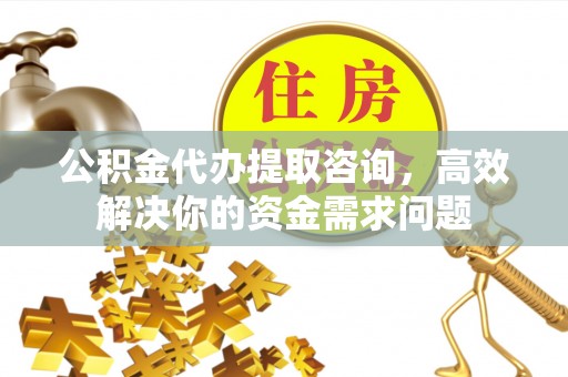 尼木公积金代办提取咨询，高效解决你的资金需求问题