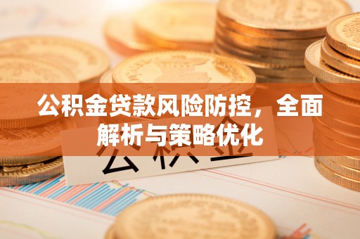 尼木公积金贷款风险防控，全面解析与策略优化