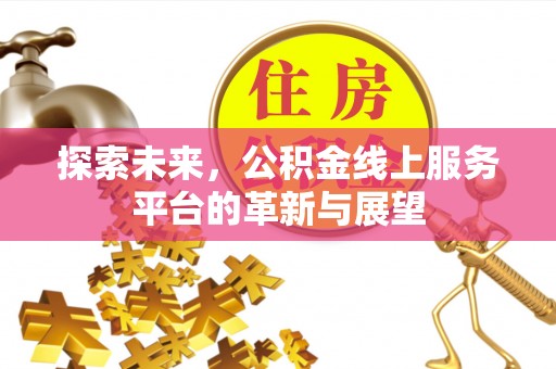 尼木探索未来，公积金线上服务平台的革新与展望