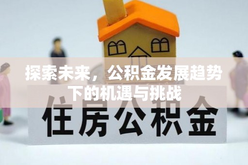 尼木探索未来，公积金发展趋势下的机遇与挑战