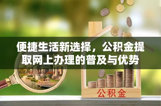 尼木便捷生活新选择，公积金提取网上办理的普及与优势