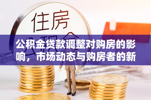 尼木公积金贷款调整对购房的影响，市场动态与购房者的新选择