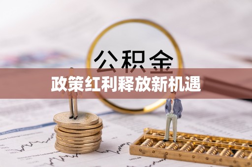尼木政策红利释放新机遇
