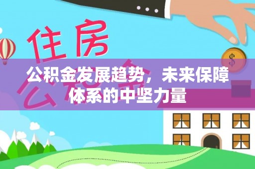 尼木公积金发展趋势，未来保障体系的中坚力量
