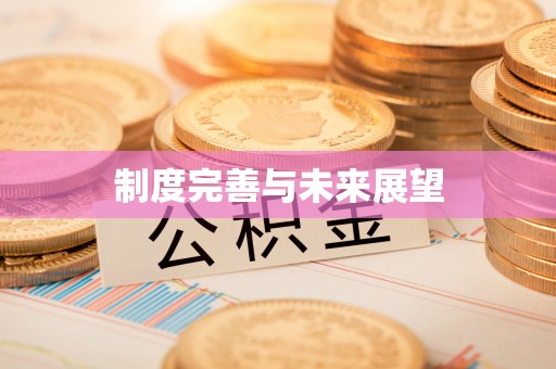 尼木制度完善与未来展望