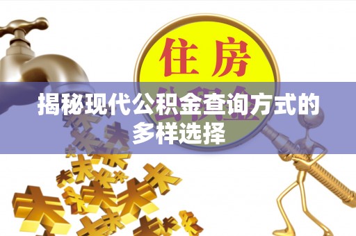 尼木揭秘现代公积金查询方式的多样选择