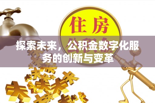 尼木探索未来，公积金数字化服务的创新与变革