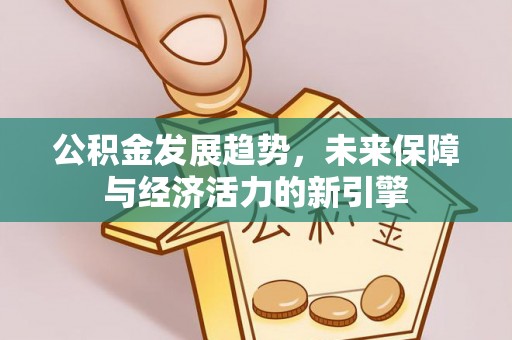尼木公积金发展趋势，未来保障与经济活力的新引擎