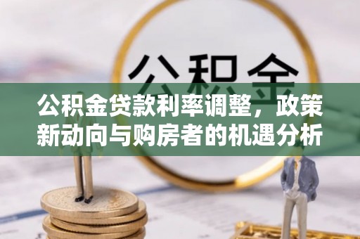 尼木公积金贷款利率调整，政策新动向与购房者的机遇分析