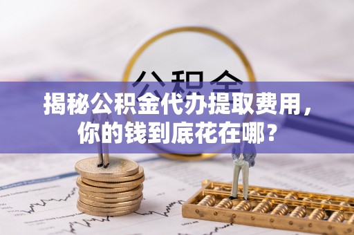 尼木揭秘公积金代办提取费用，你的钱到底花在哪？