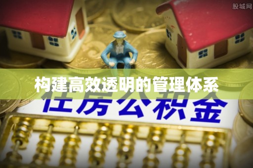 尼木构建高效透明的管理体系