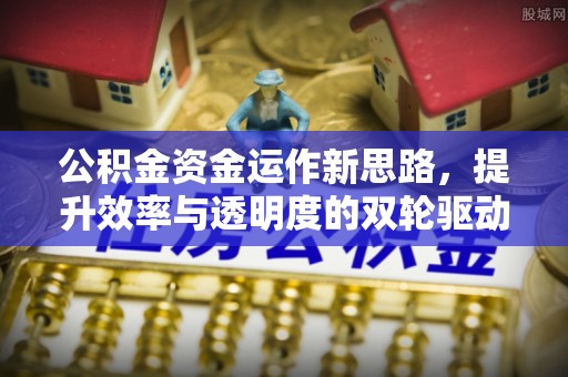 尼木公积金资金运作新思路，提升效率与透明度的双轮驱动