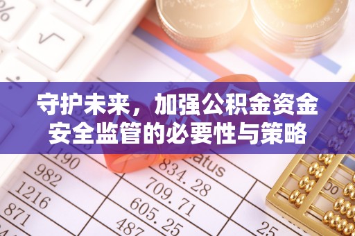 尼木守护未来，加强公积金资金安全监管的必要性与策略
