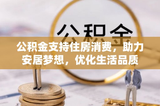尼木公积金支持住房消费，助力安居梦想，优化生活品质