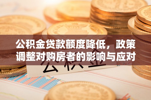 尼木公积金贷款额度降低，政策调整对购房者的影响与应对策略