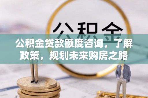 尼木公积金贷款额度咨询，了解政策，规划未来购房之路