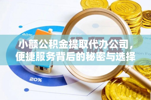 尼木小额公积金提取代办公司，便捷服务背后的秘密与选择指南
