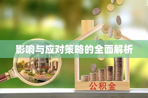 尼木影响与应对策略的全面解析