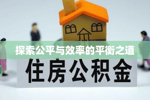 尼木探索公平与效率的平衡之道