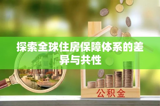 尼木探索全球住房保障体系的差异与共性