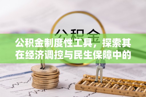 尼木公积金制度性工具，探索其在经济调控与民生保障中的重要作用