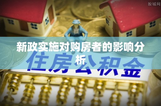 尼木新政实施对购房者的影响分析