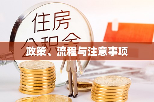 尼木政策、流程与注意事项