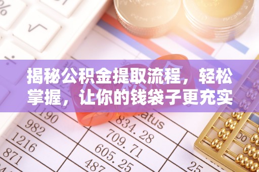 尼木揭秘公积金提取流程，轻松掌握，让你的钱袋子更充实
