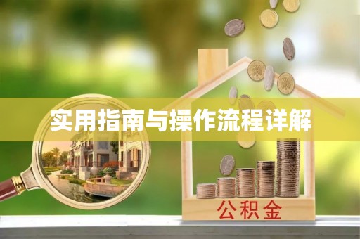 尼木实用指南与操作流程详解