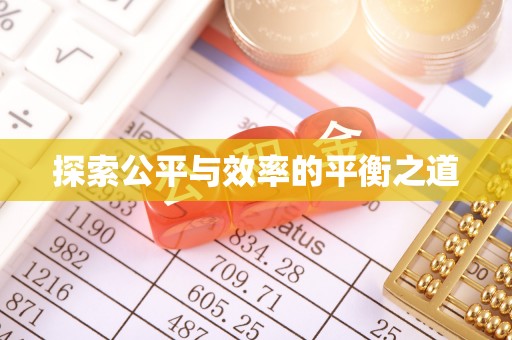 尼木探索公平与效率的平衡之道