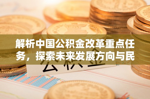 尼木解析中国公积金改革重点任务，探索未来发展方向与民生影响
