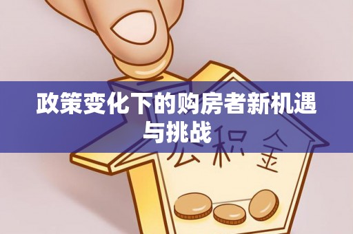 尼木政策变化下的购房者新机遇与挑战