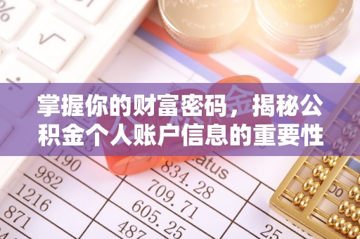尼木掌握你的财富密码，揭秘公积金个人账户信息的重要性