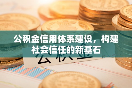 尼木公积金信用体系建设，构建社会信任的新基石