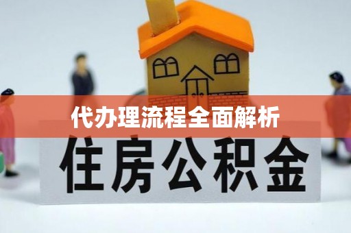 尼木代办理流程全面解析