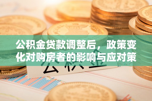 尼木公积金贷款调整后，政策变化对购房者的影响与应对策略