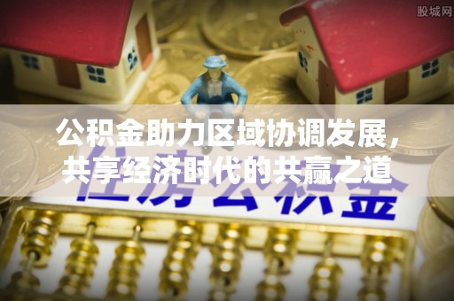 尼木公积金助力区域协调发展，共享经济时代的共赢之道