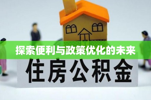 尼木探索便利与政策优化的未来
