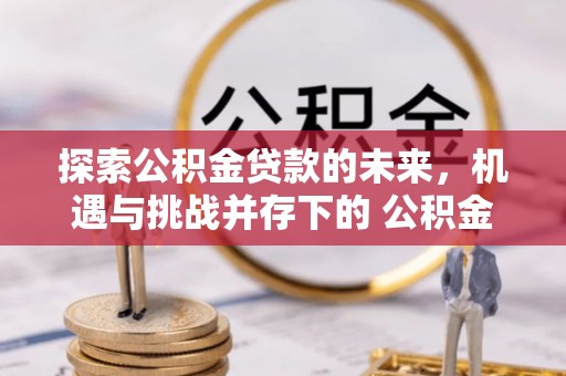 尼木探索公积金贷款的未来，机遇与挑战并存下的 公积金贷款风险防控